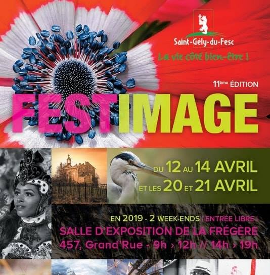 Exposition FESTIMAGE