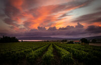 Coucher de soleil Villeneuve